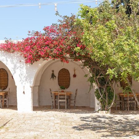 Masseria Eccellenza 佩兹迪格雷科 外观 照片