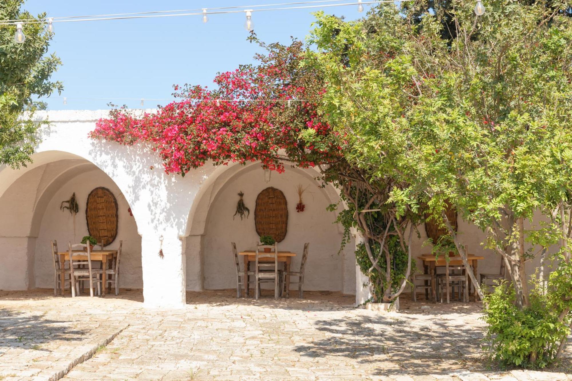 Masseria Eccellenza 佩兹迪格雷科 外观 照片